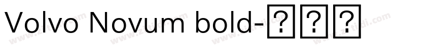 Volvo Novum bold字体转换 Volvo Novum bold字体转换